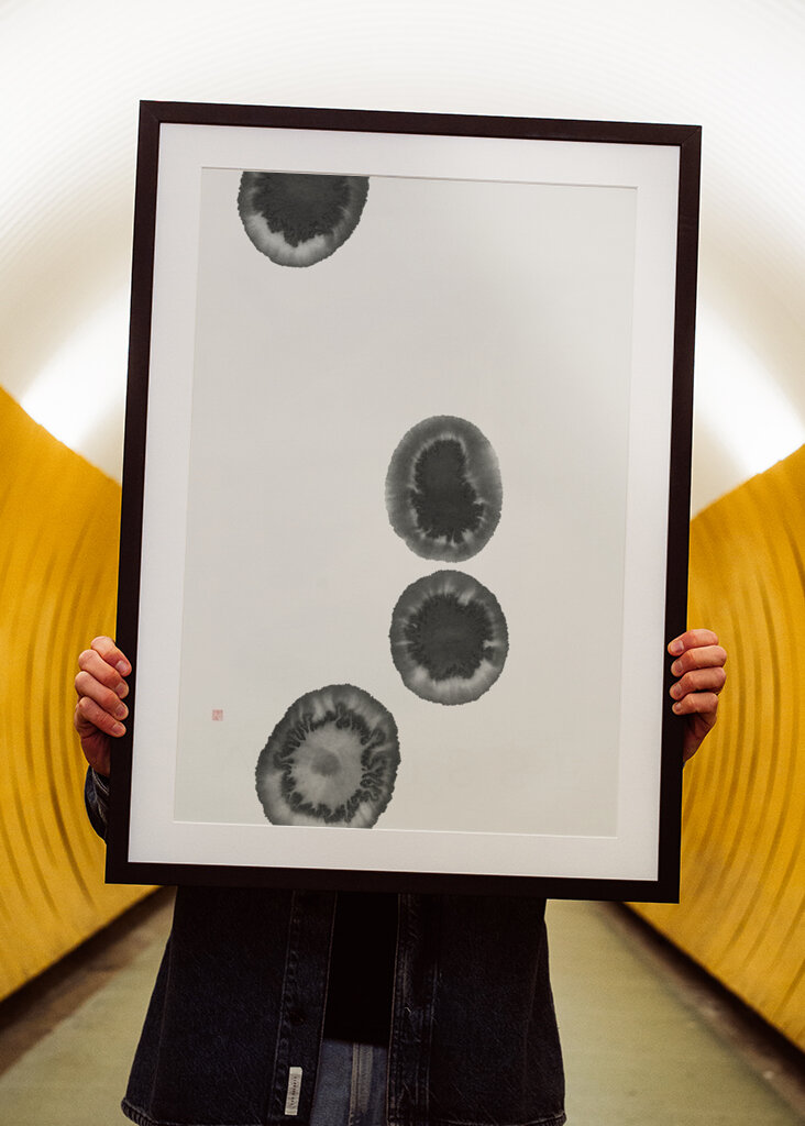 Flujo de floración de tinta