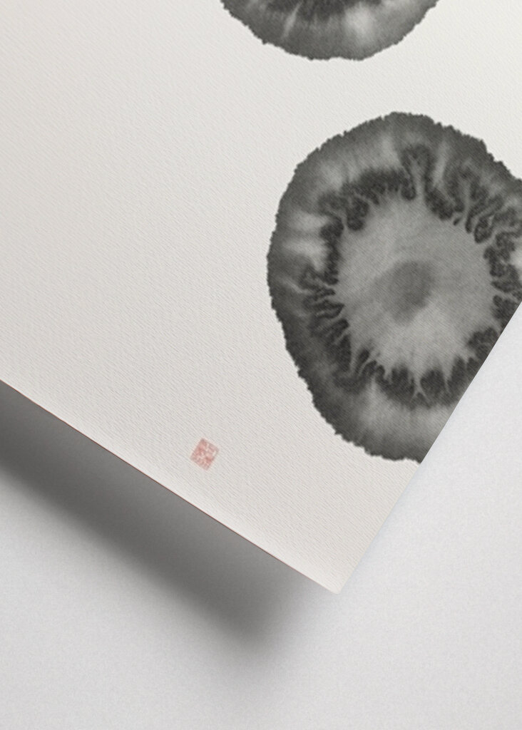 Flujo de floración de tinta