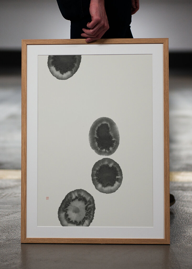 Flujo de floración de tinta