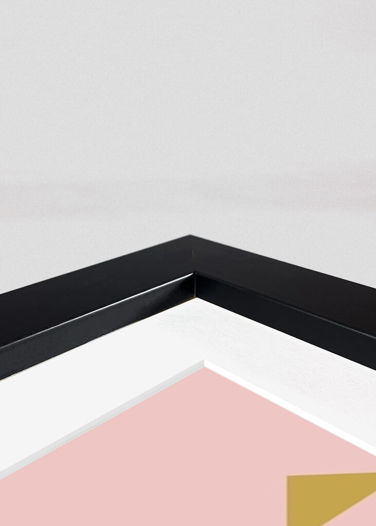 Geometrická harmonie