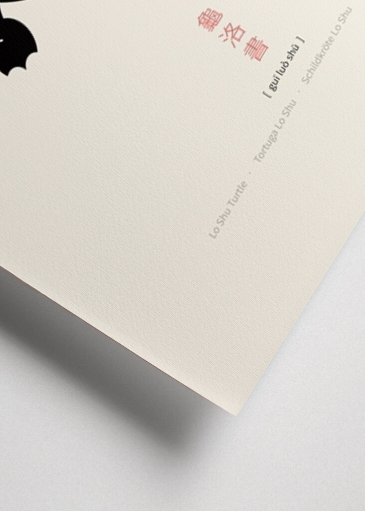 Mystic Turtle Design