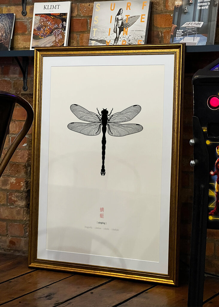 Silhouette de libellule