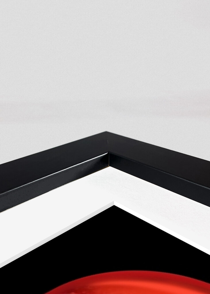 Cortinas de langosta frescas