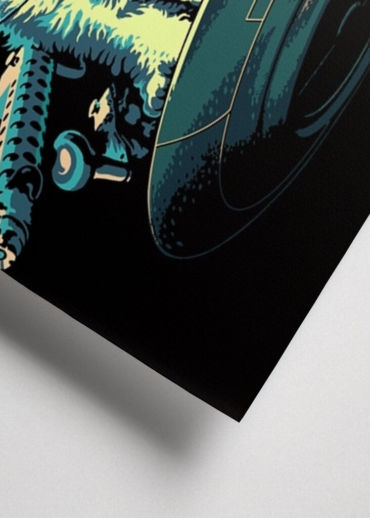 Galactic Kitty Pilot