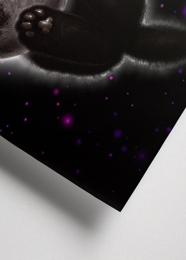 Månedlig Catnap Dream