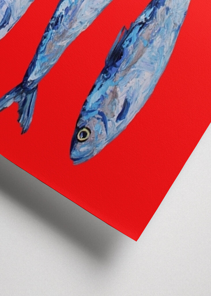 Parata del pesce azzurro