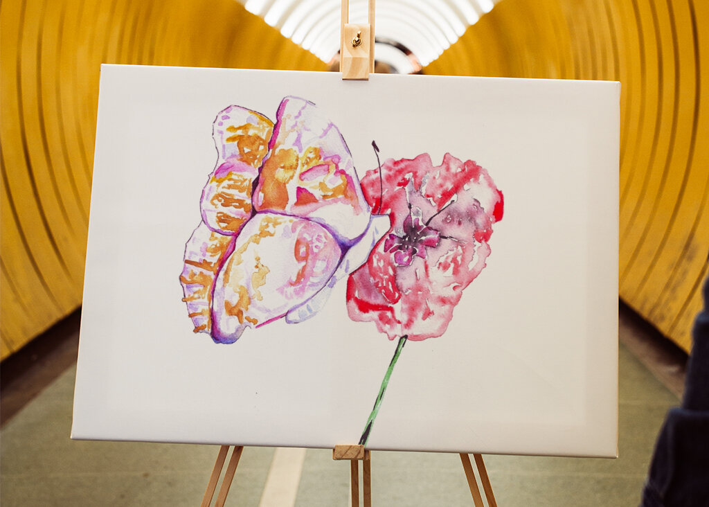 Butterfly and Red Poppy