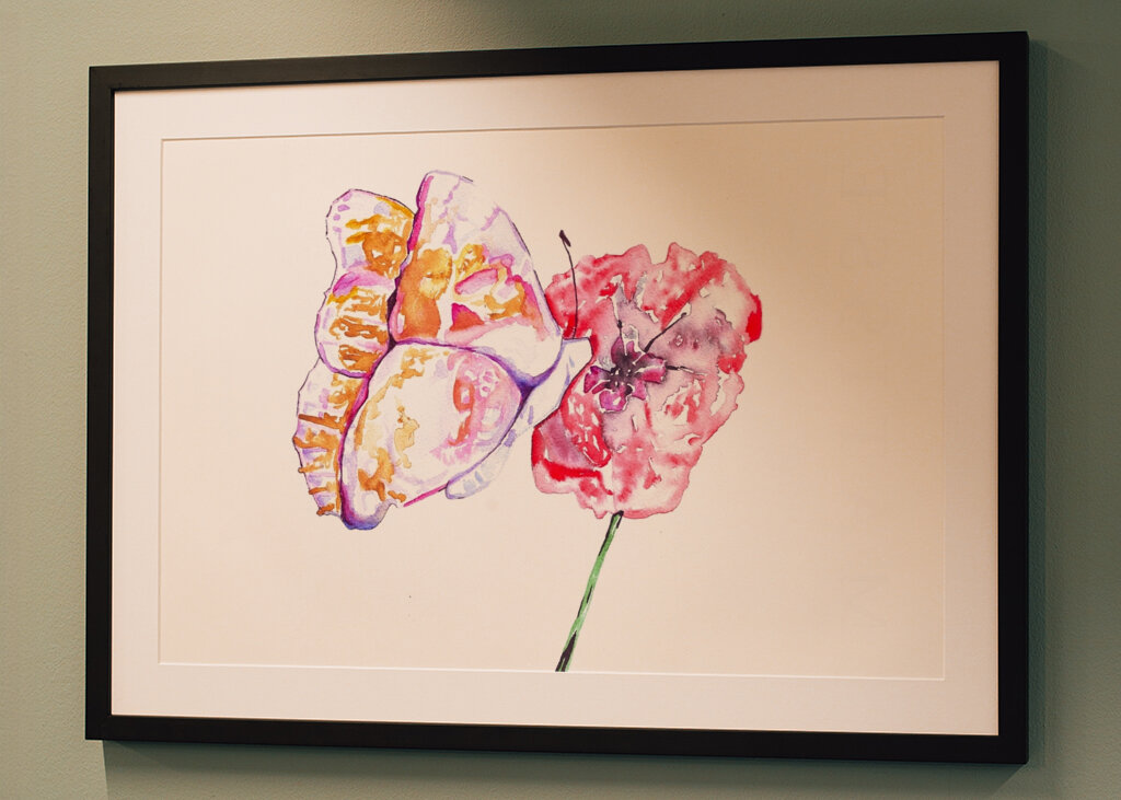 Butterfly and Red Poppy