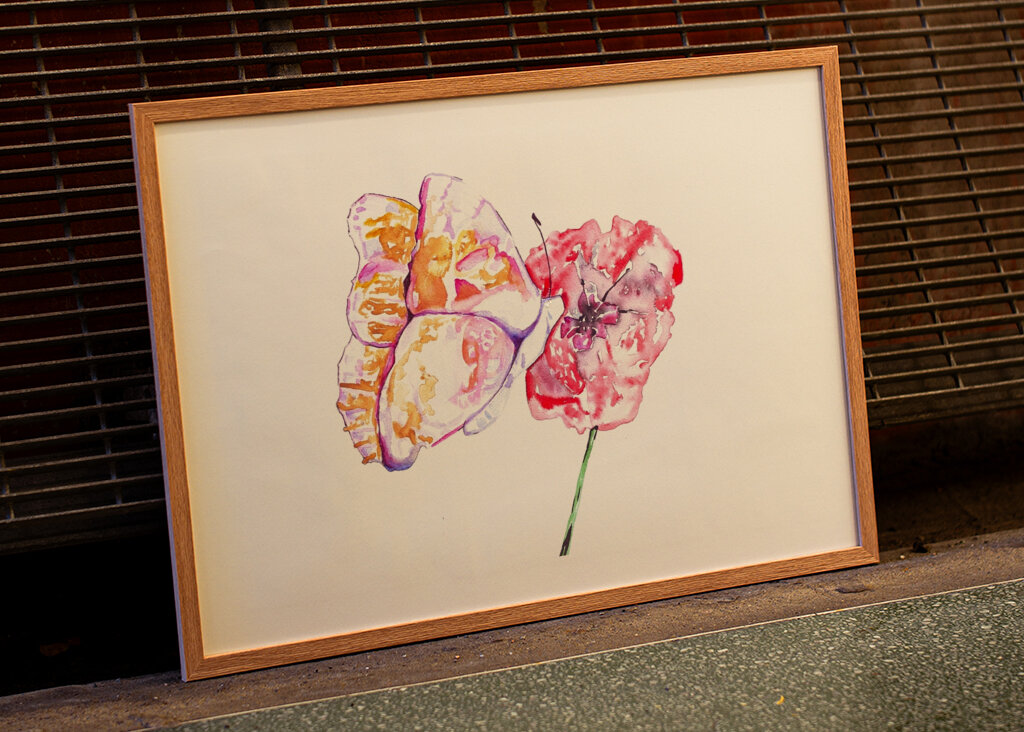 Butterfly and Red Poppy