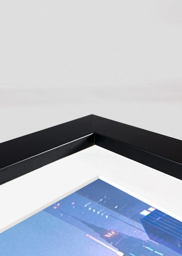 The cat (Felis catus)