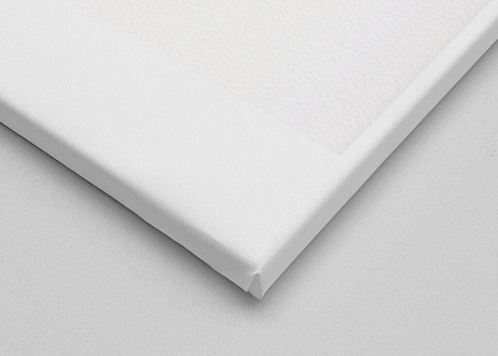 Butterfly and Daisies