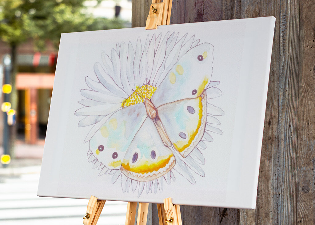 Butterfly and Daisies