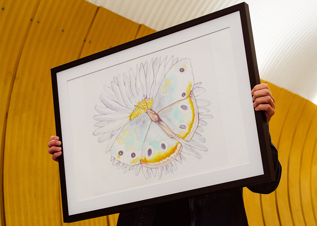 Butterfly and Daisies