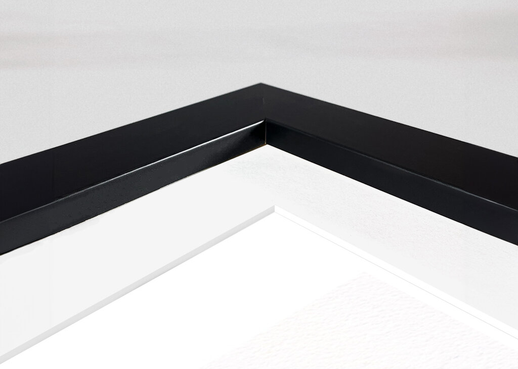 Butterfly and Daisies