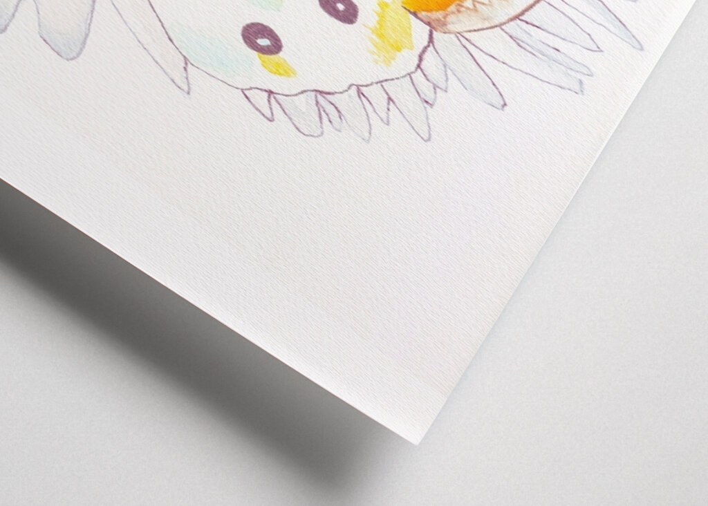 Butterfly and Daisies