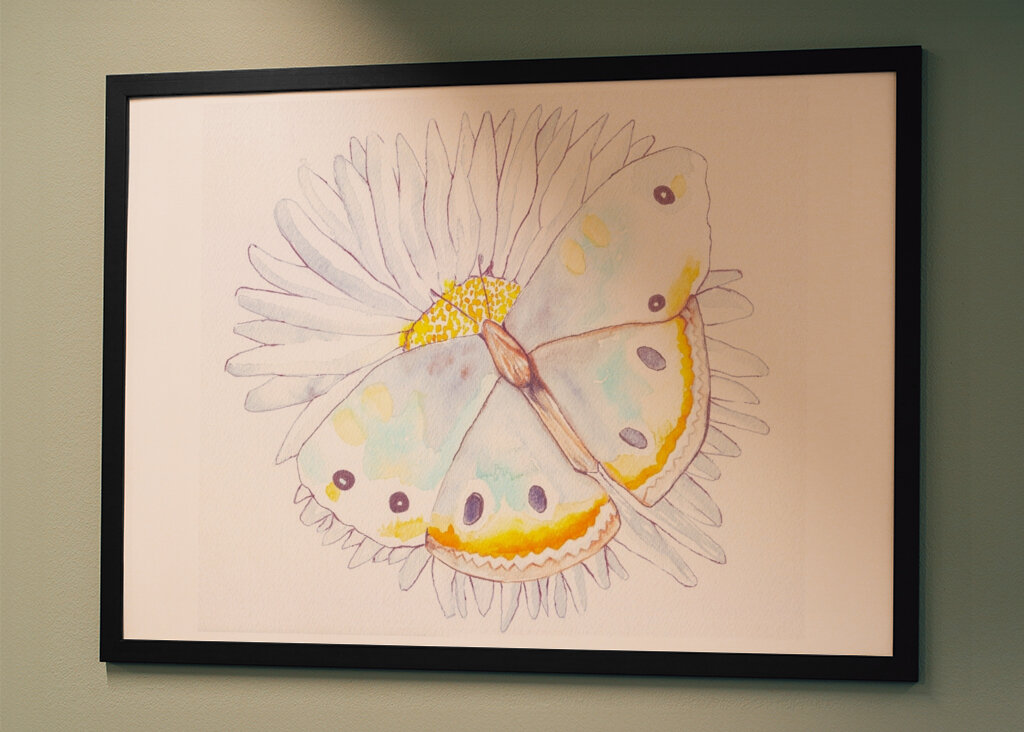 Butterfly and Daisies