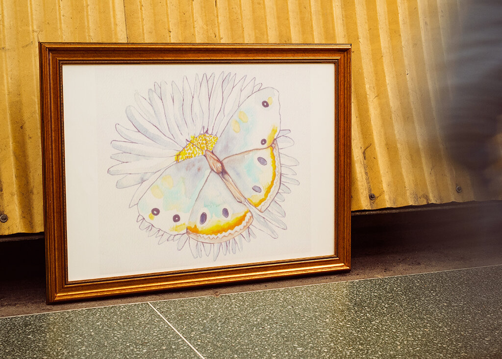 Butterfly and Daisies