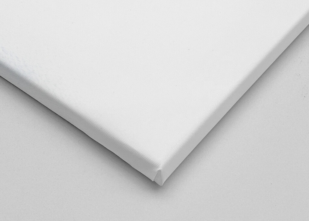 Monarca And Wildflowers