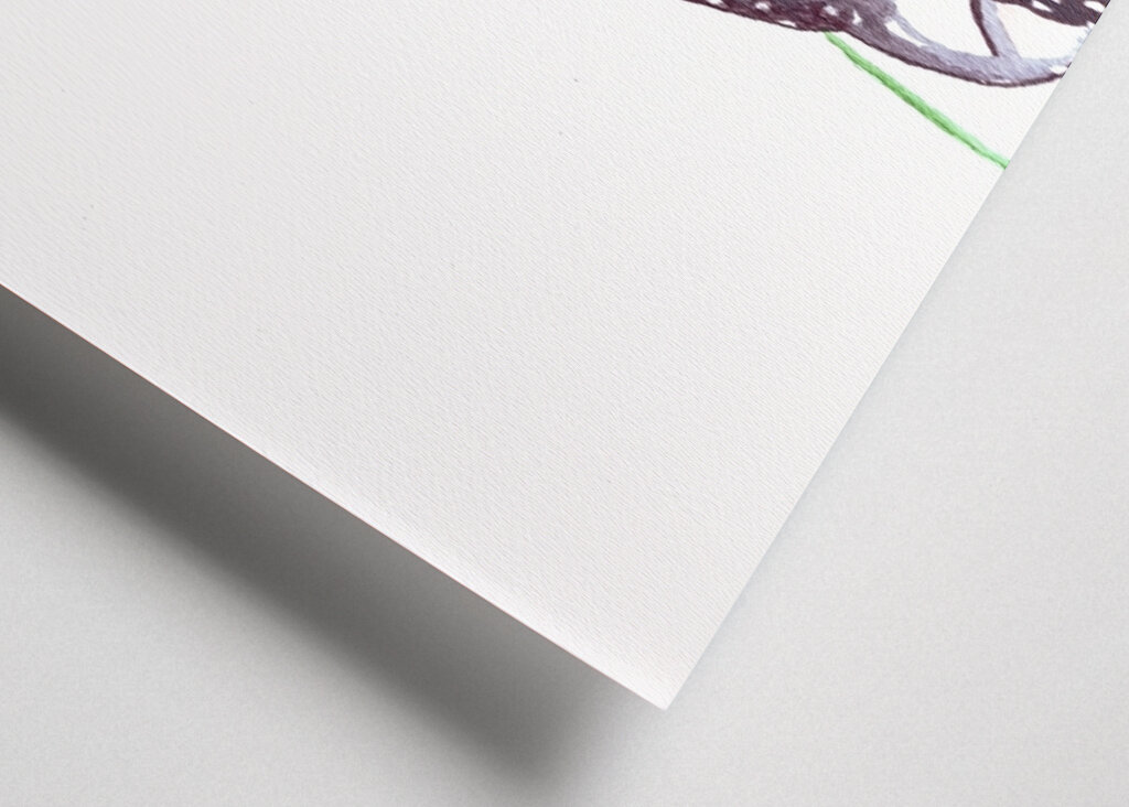 Monarca And Wildflowers