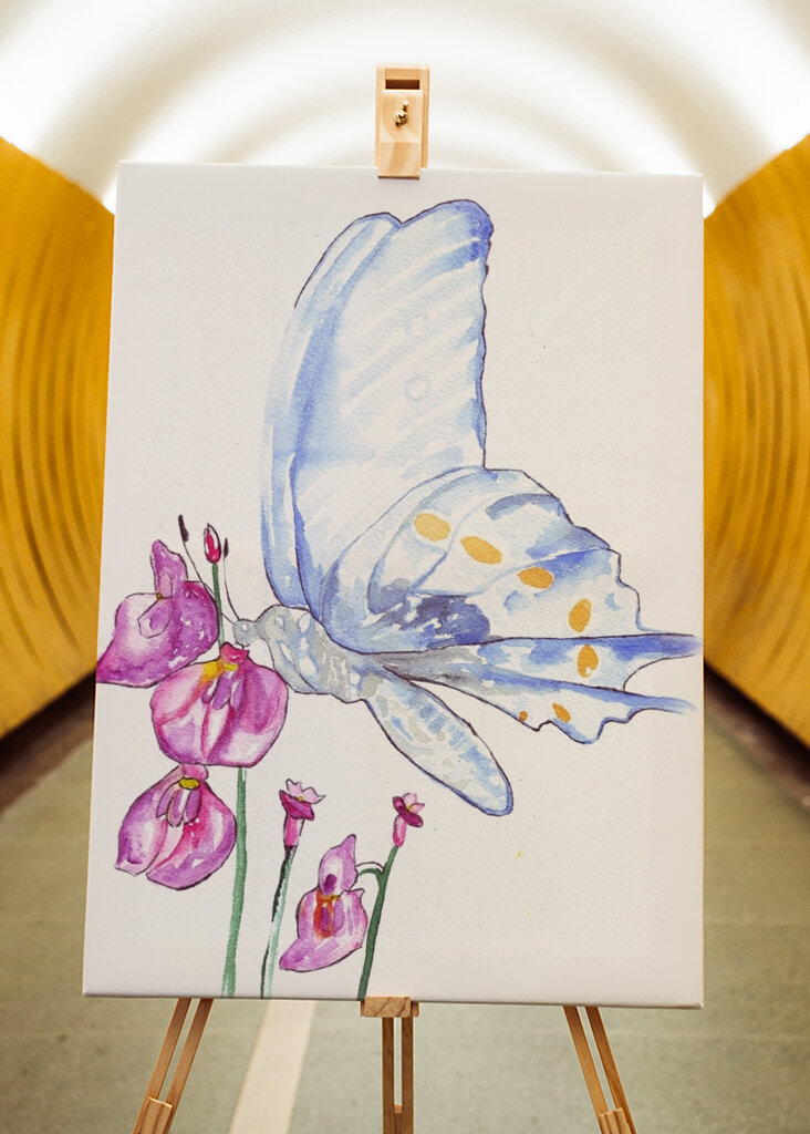 Butterfly and Wildflowers