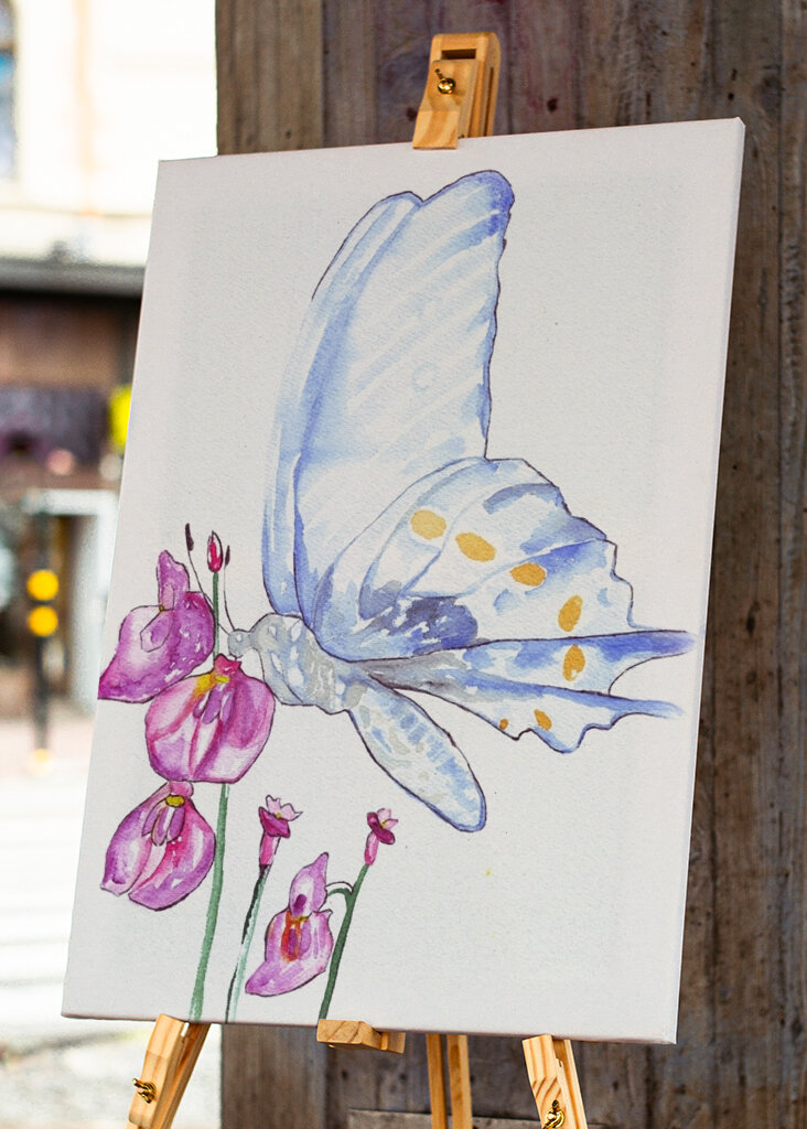 Butterfly and Wildflowers