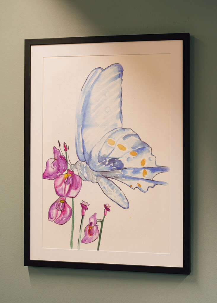 Butterfly and Wildflowers