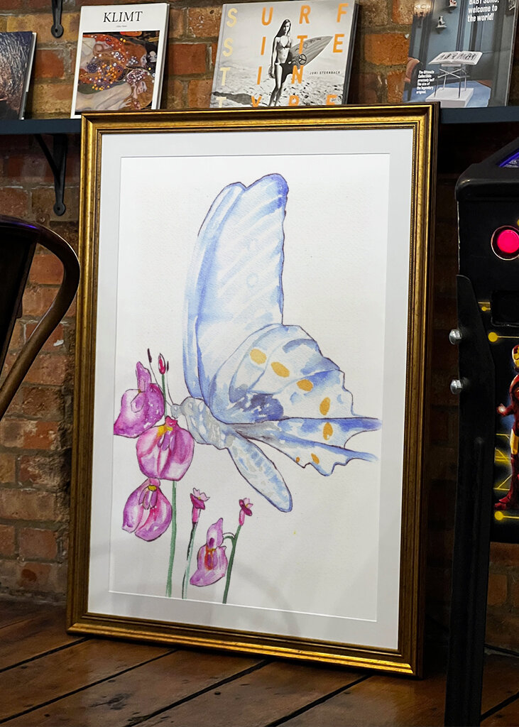 Butterfly and Wildflowers