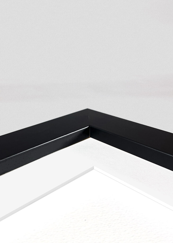 Butterfly and Wildflowers