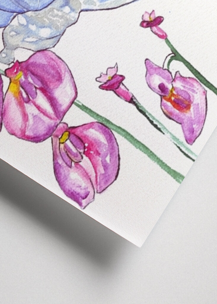 Butterfly and Wildflowers