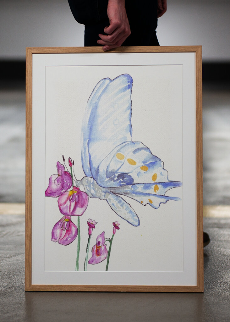 Butterfly and Wildflowers