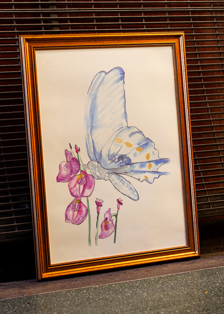 Butterfly and Wildflowers