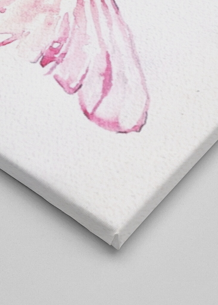 Two Butterflies On Flowers