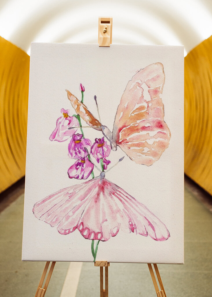 Two Butterflies On Flowers