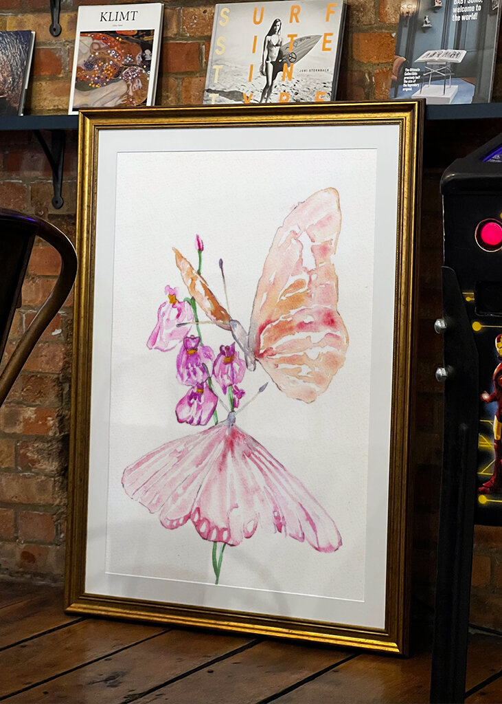 Two Butterflies On Flowers