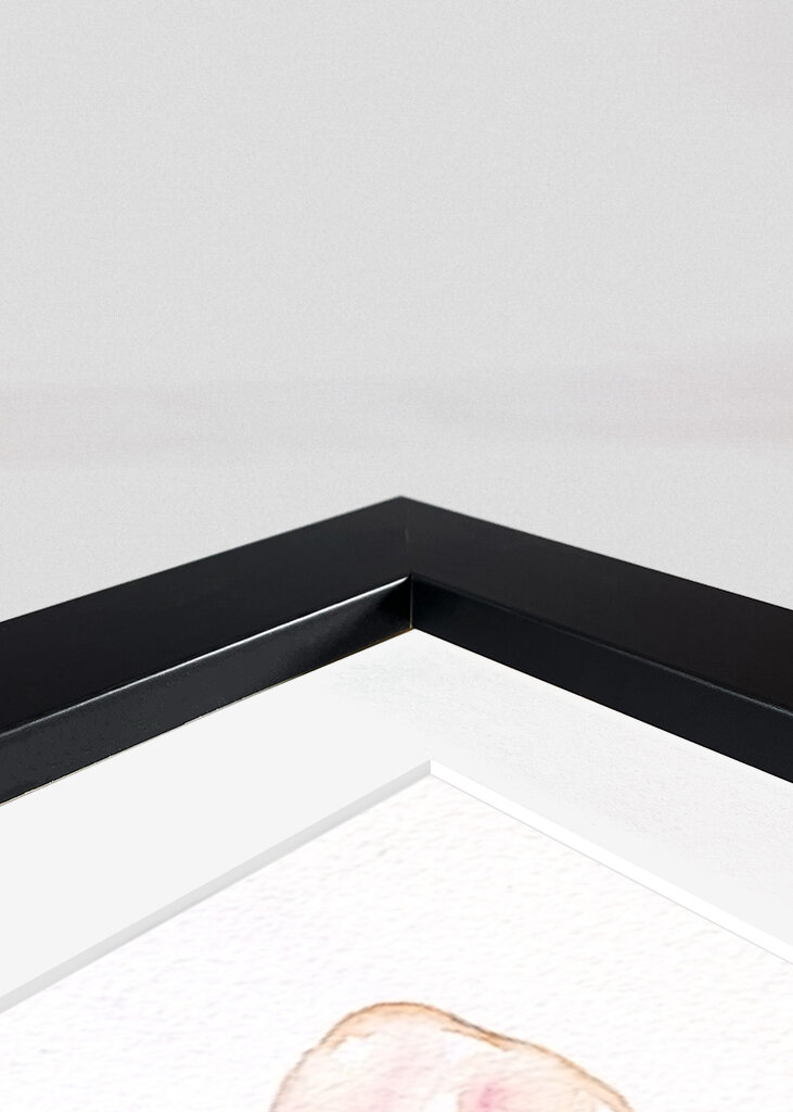 Two Butterflies On Flowers