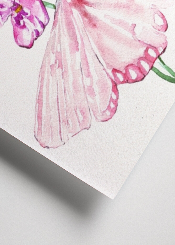 Two Butterflies On Flowers