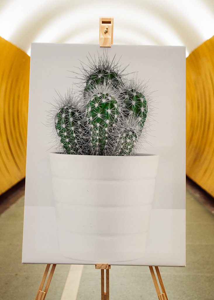 CACTUS