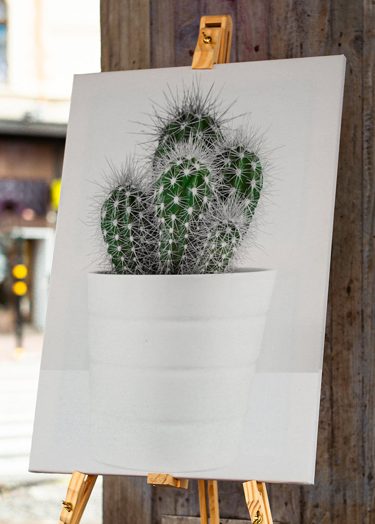 CACTUS