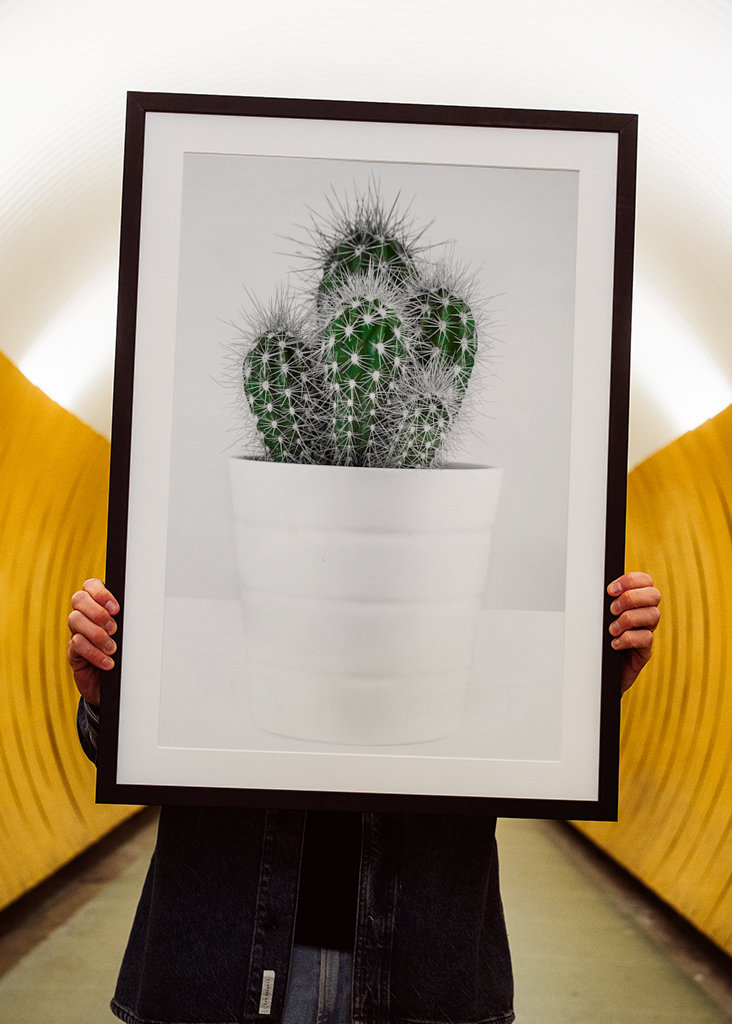 CACTUS