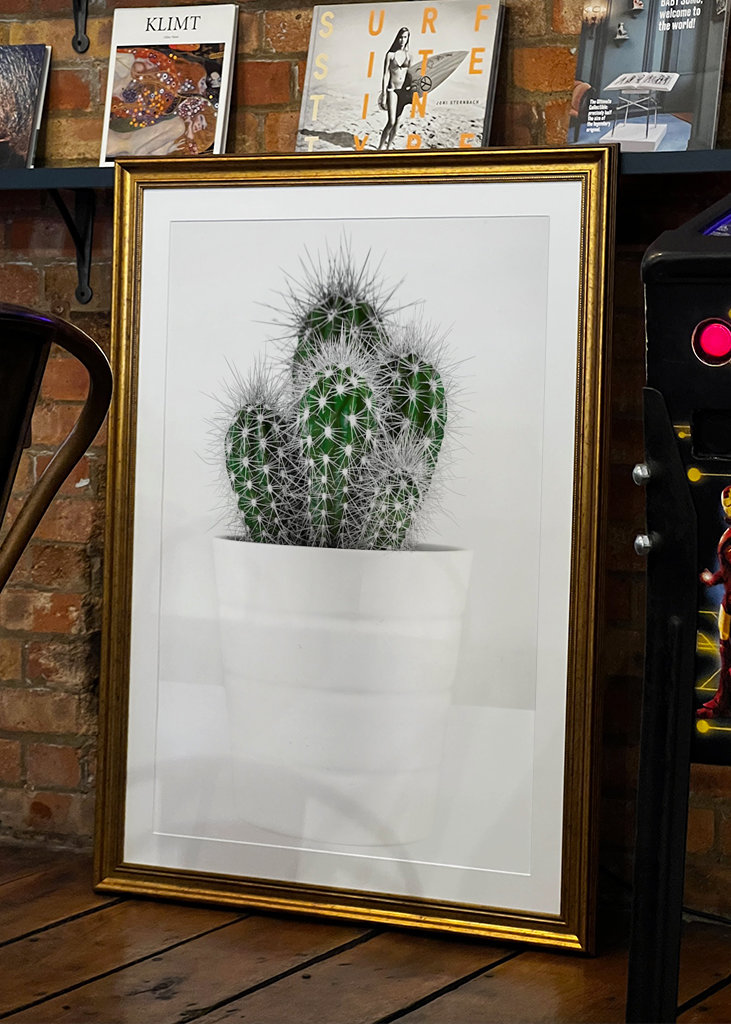 CACTUS