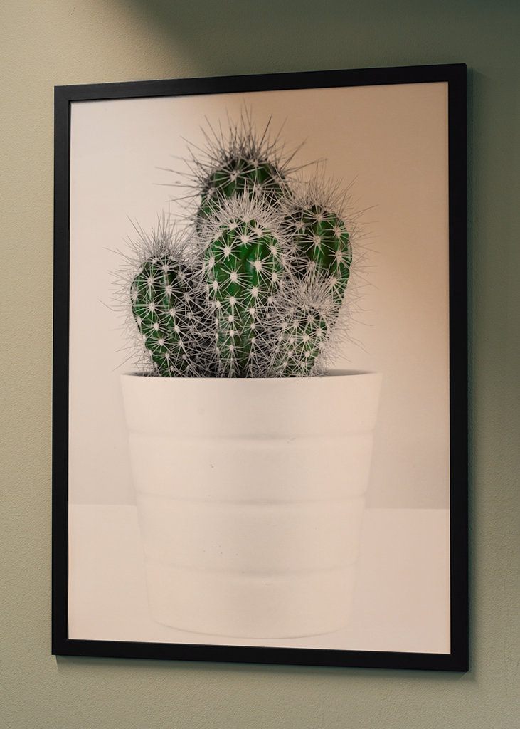 CACTUS