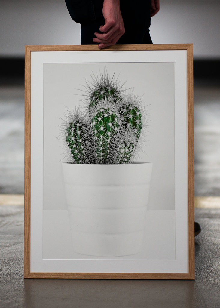 CACTUS
