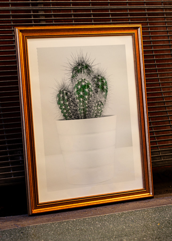 CACTUS
