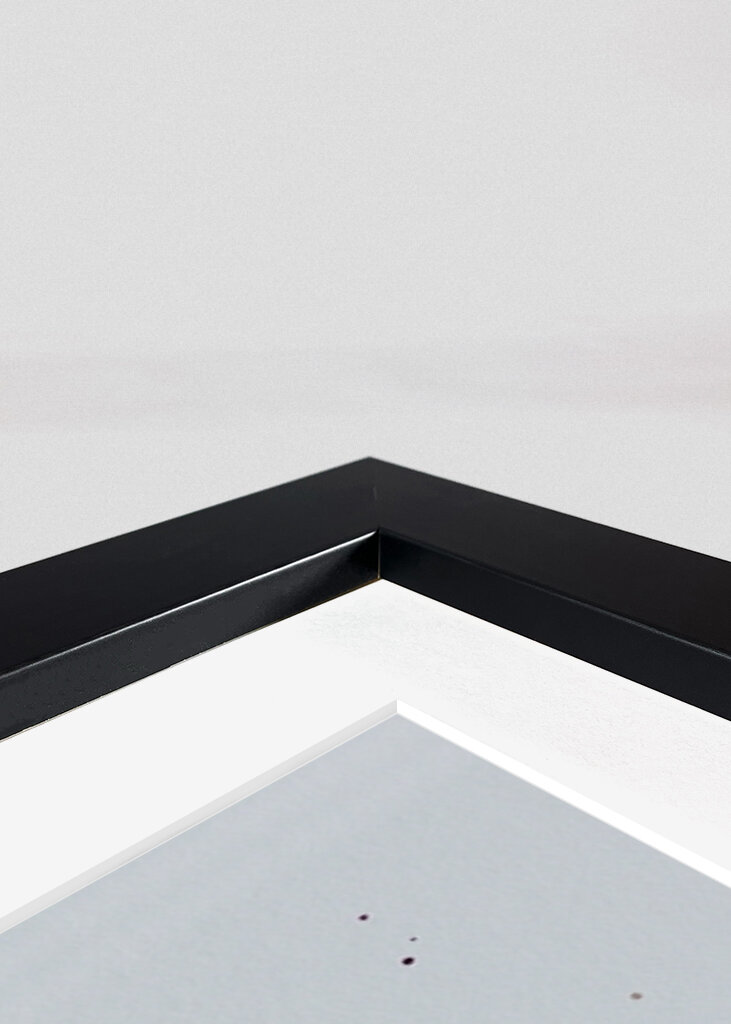 Blomsterdrømme i blæk