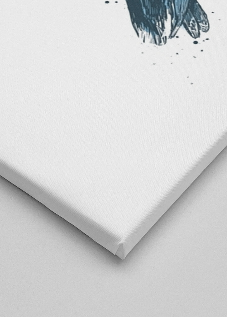 Le regard calme du corbeau