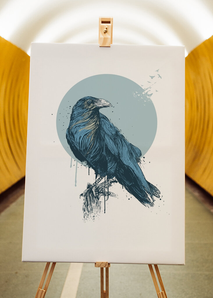 Le regard calme du corbeau