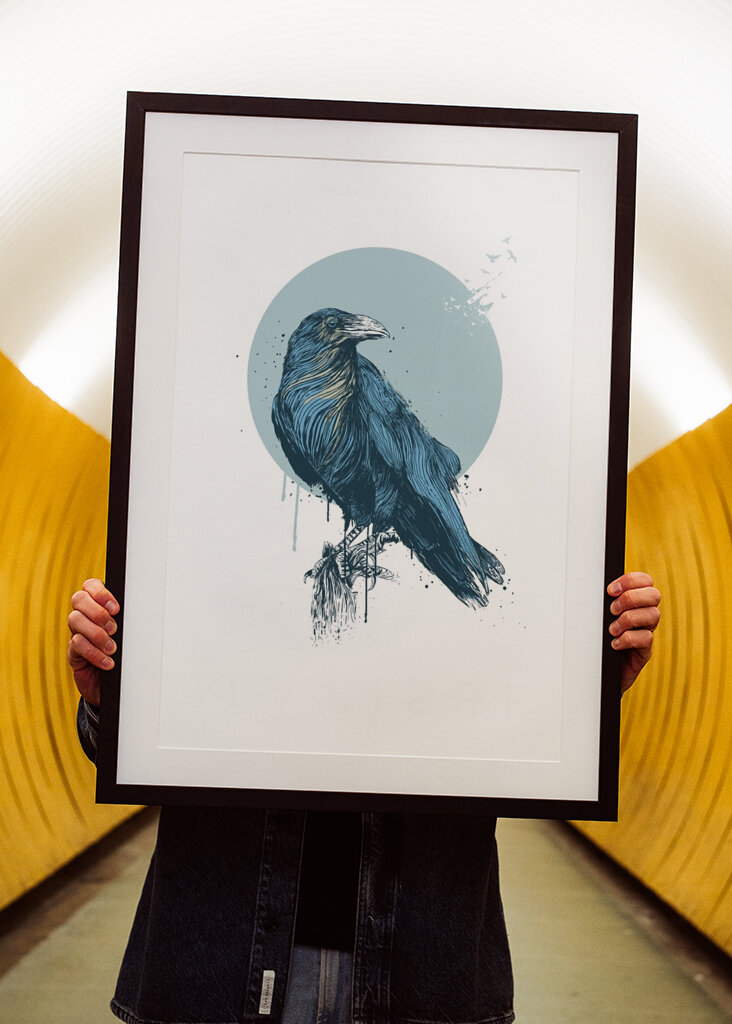 Le regard calme du corbeau