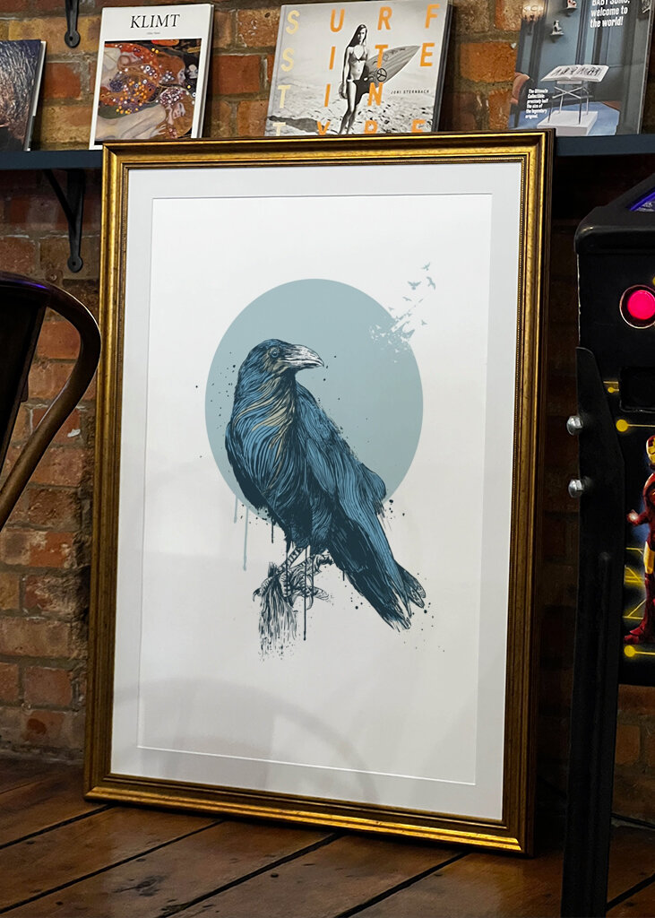 Le regard calme du corbeau