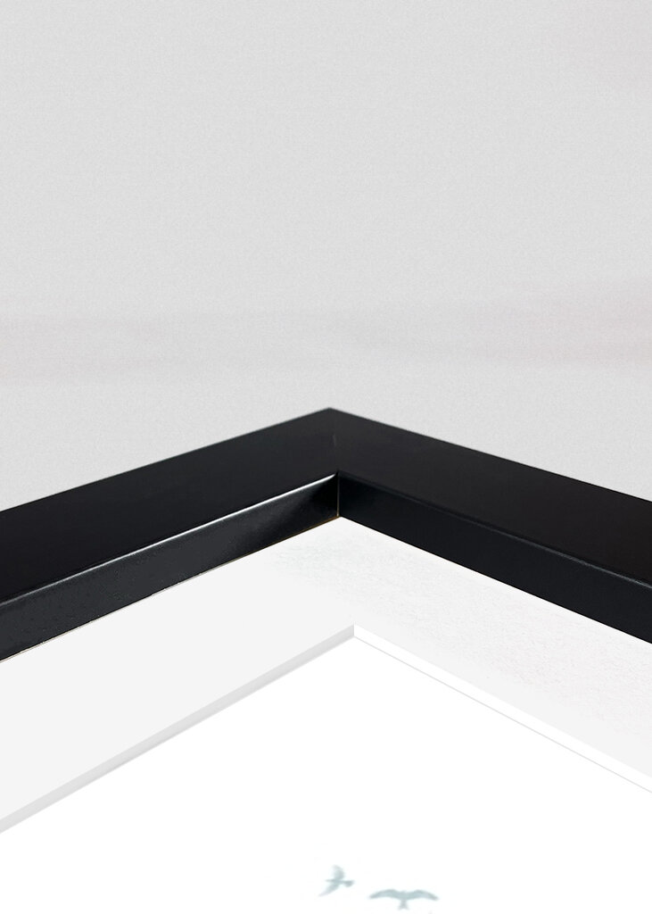 Le regard calme du corbeau