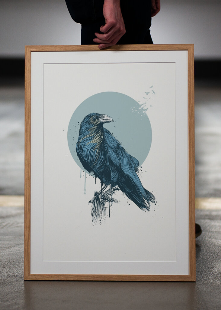 Le regard calme du corbeau